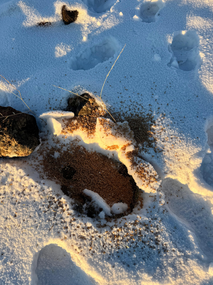 Ekran Görüntüsü 2025 12 31 000544