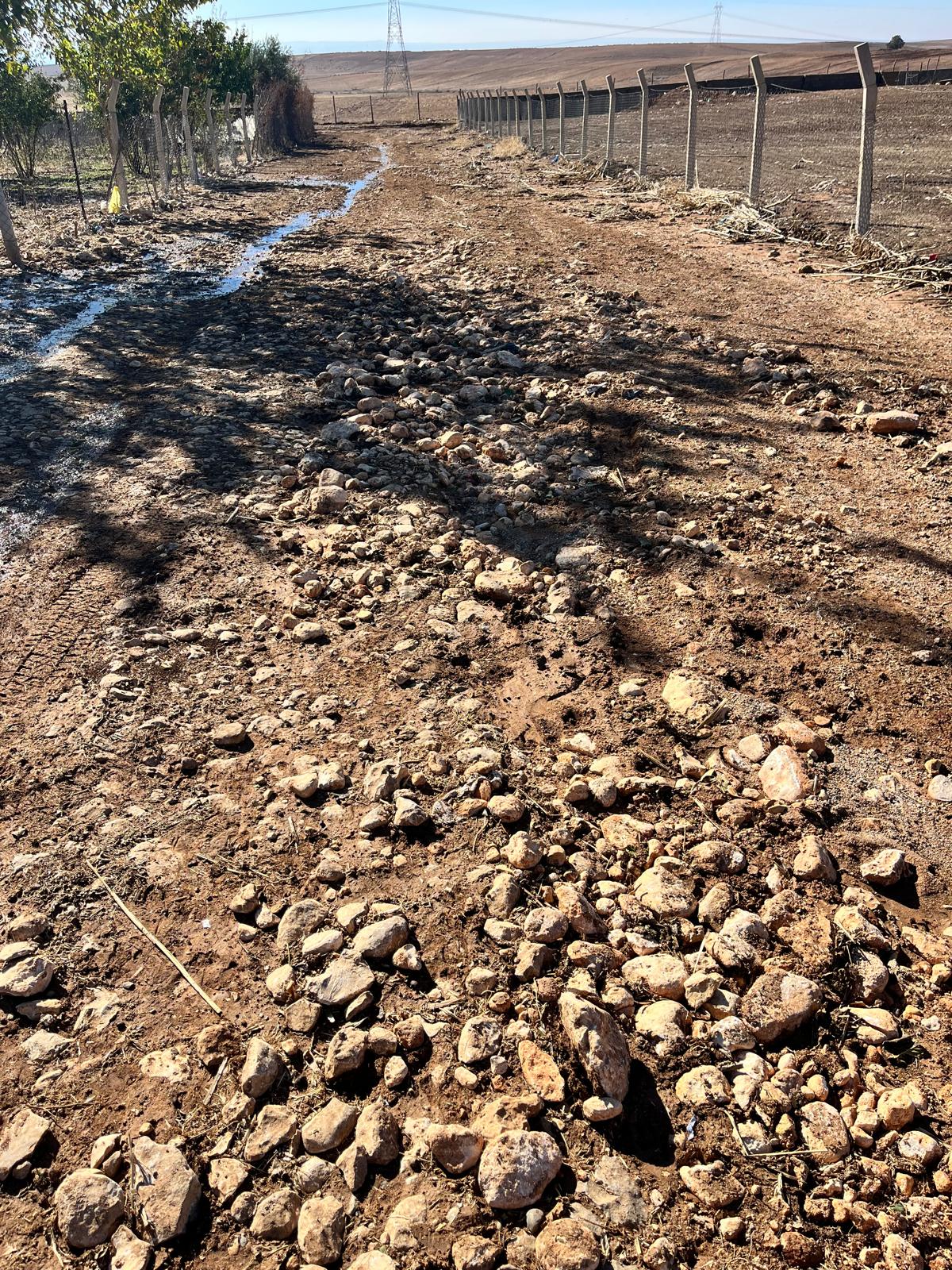 I M G 20251226 W A0028