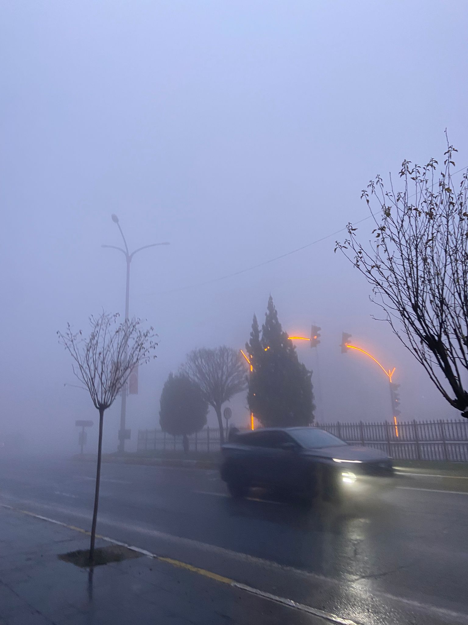 I M G 20251227 W A0003