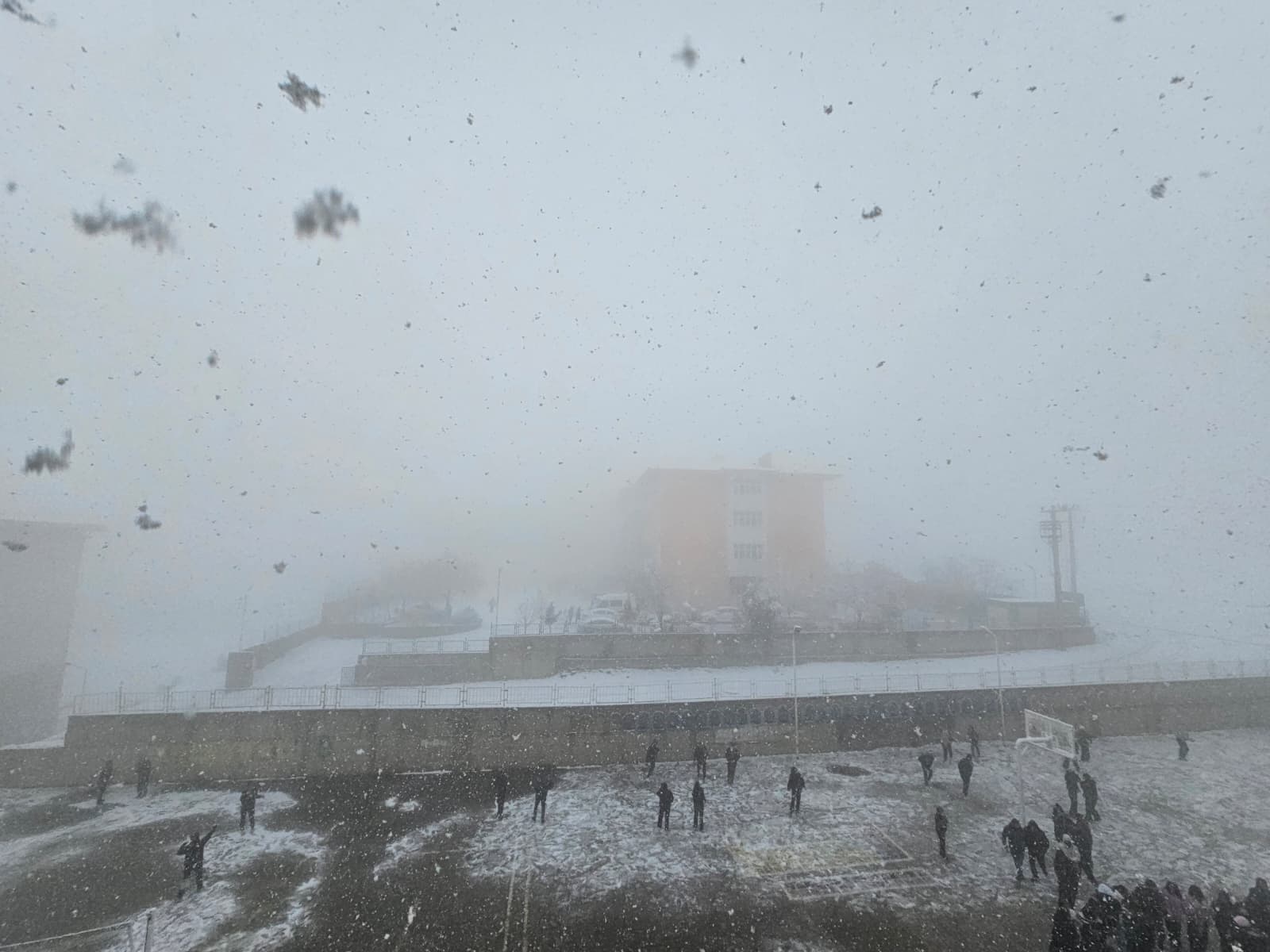 Whatsapp Image 2025 12 29 At 11.57.48 (1)