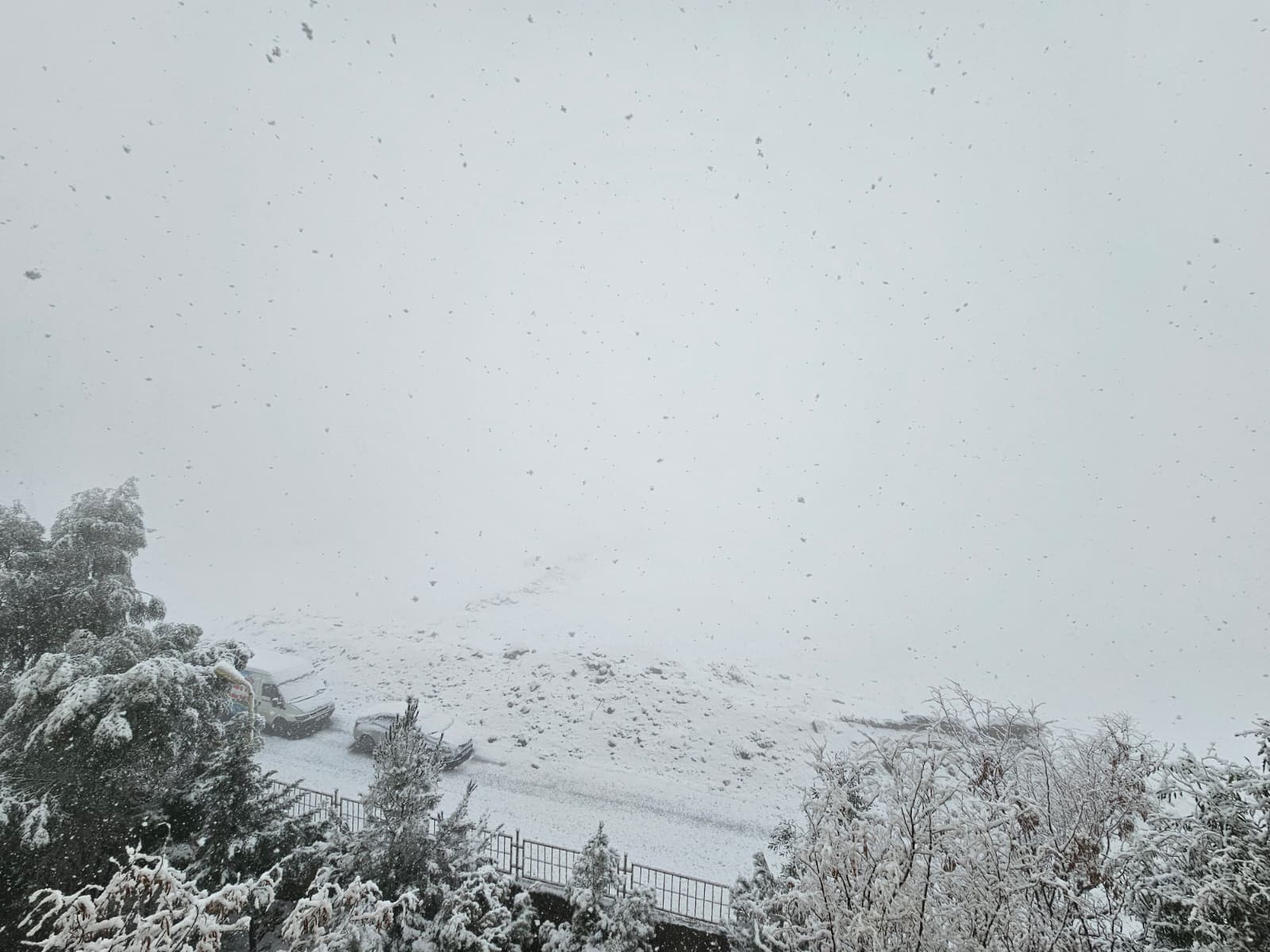 Whatsapp Image 2025 12 29 At 11.57.53 (1)