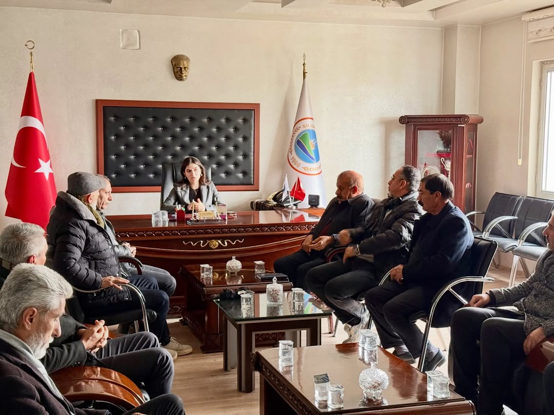 jıyan ormanlı silopi