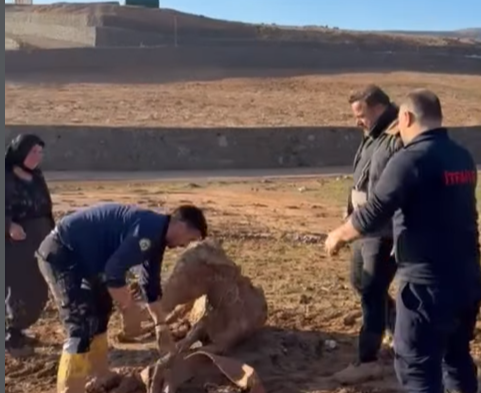 Ekran Görüntüsü 2026 01 04 190825