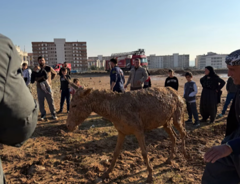 Ekran Görüntüsü 2026 01 04 190854