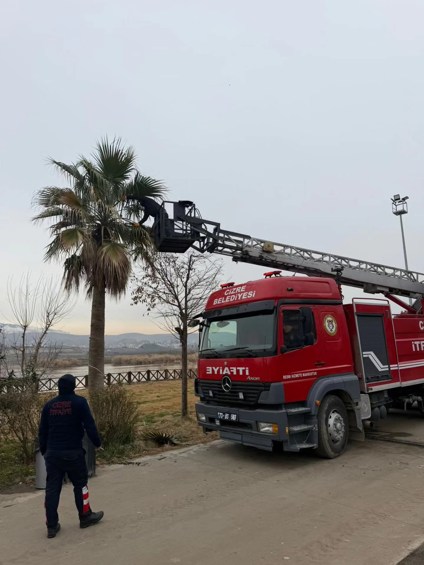 F B I M G 1769728529223