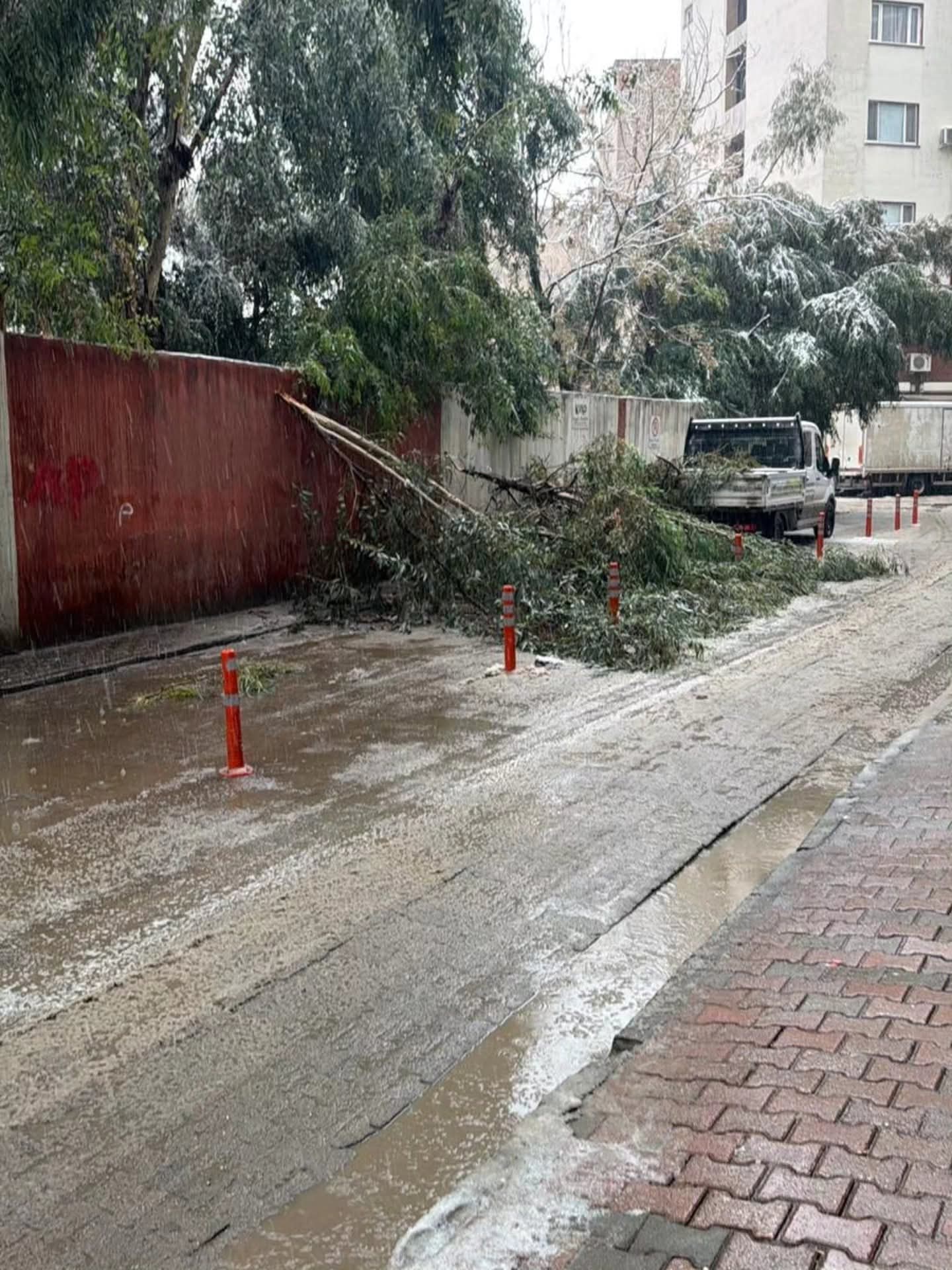 F B I M G 1769728535746