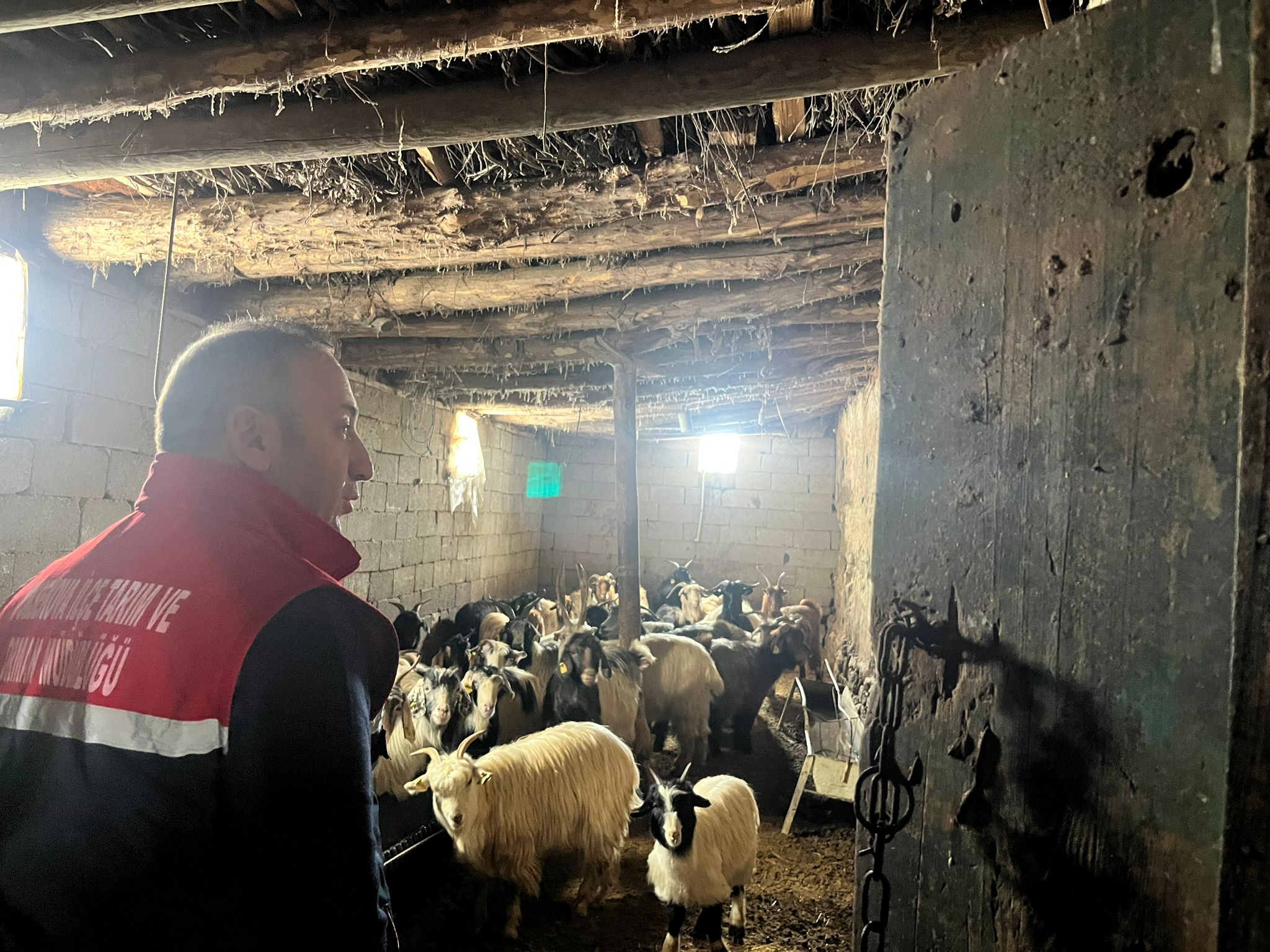 Hayvan Refahi Ve Nakil Kurallari Yuksekovada Anlatildi (2)