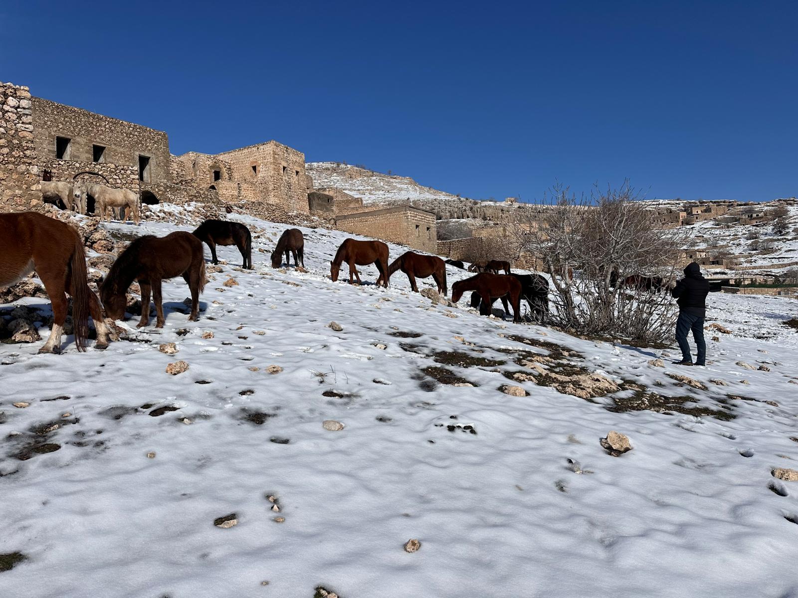 Kocer Yollarinda Kisin Sessiz Taniklari (2)