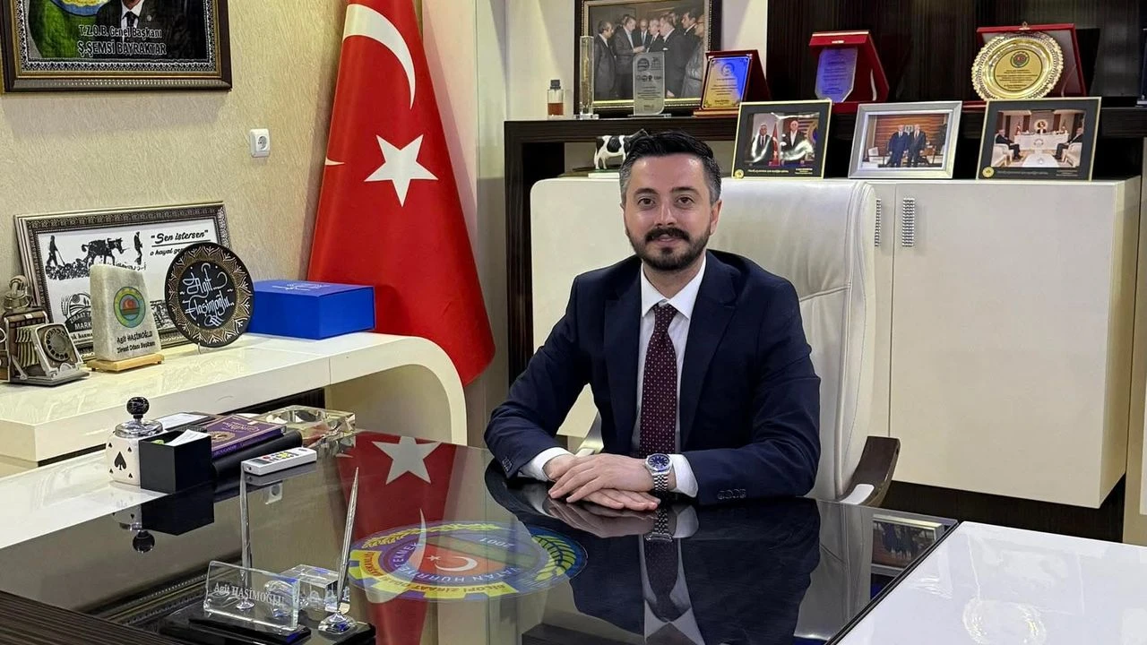 Mesut Haşimoğlu