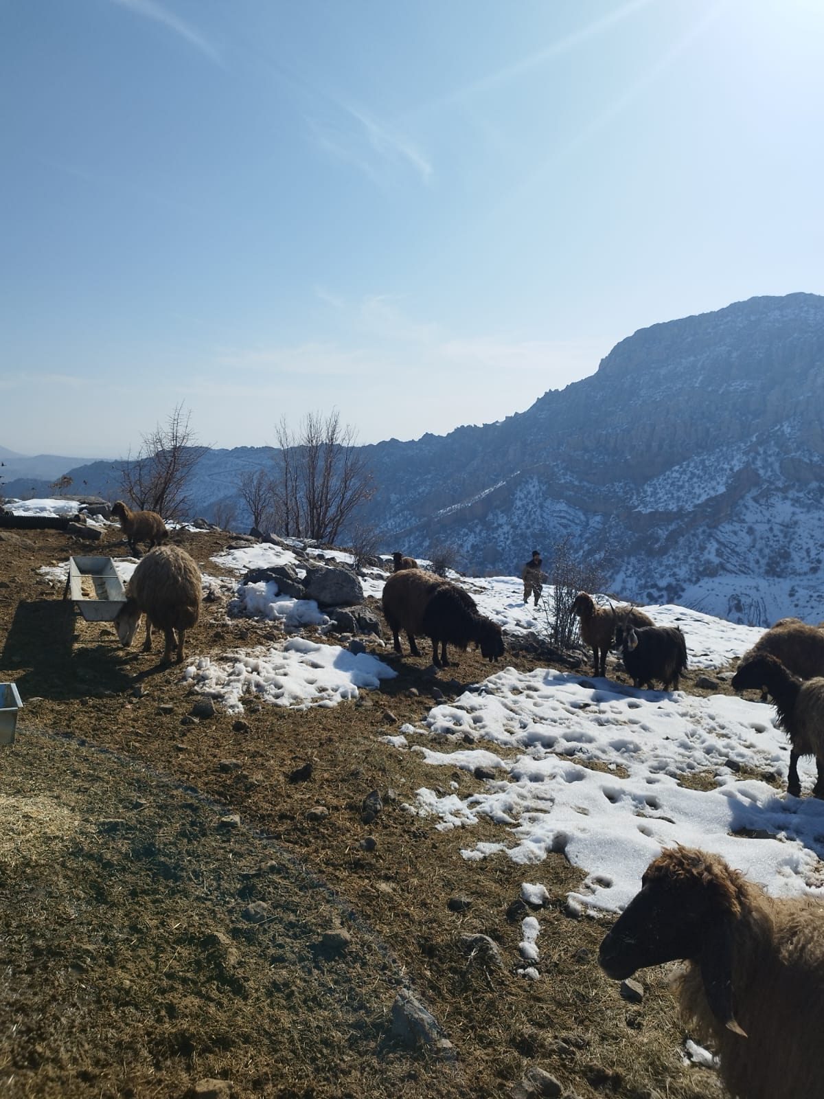 Silopi Kaymakamligi 20260113 0003