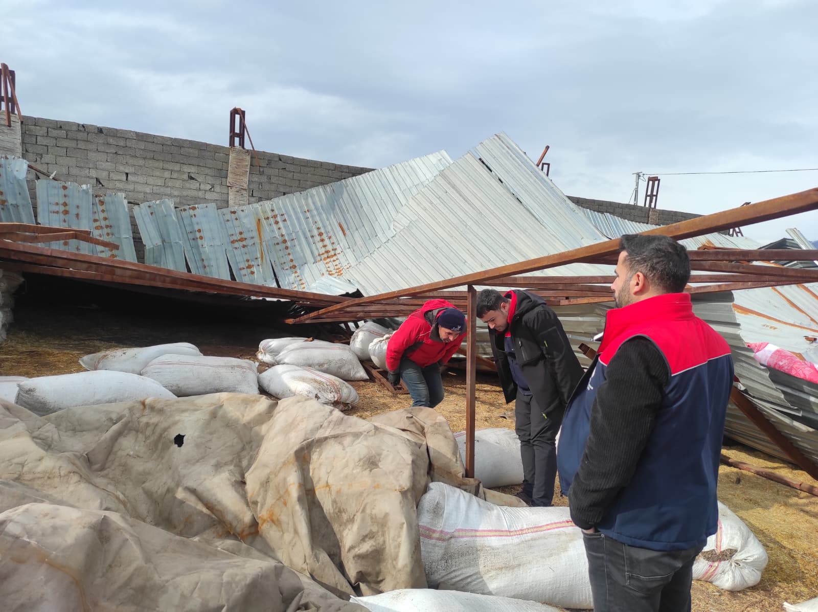 Sirnakta Olumsuz Hava Sartlari Ciftligi Vurdu (1)-1