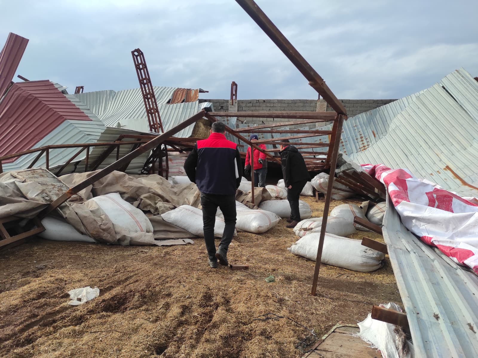 Sirnakta Olumsuz Hava Sartlari Ciftligi Vurdu (1)