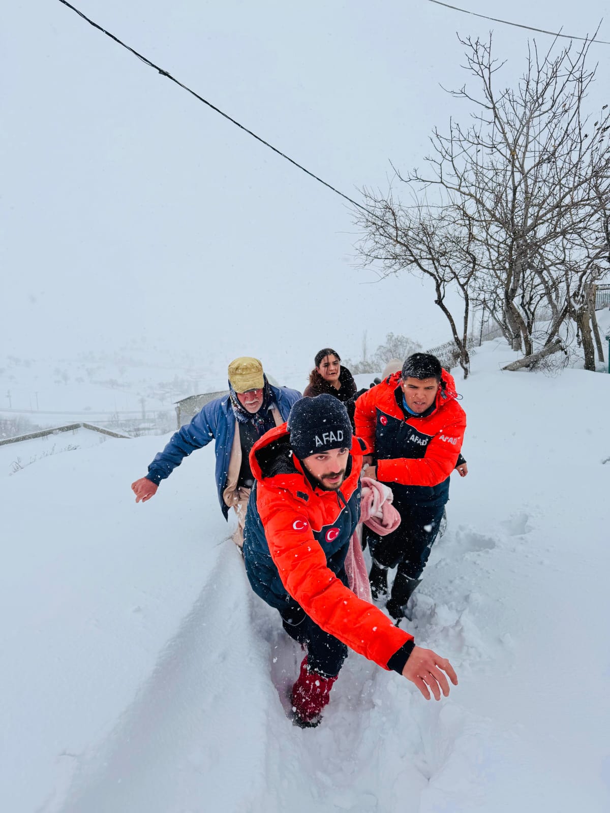 Whatsapp Image 2026 01 01 At 12.28.12