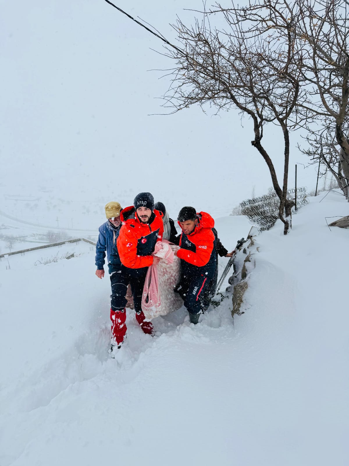 Whatsapp Image 2026 01 01 At 12.28.13