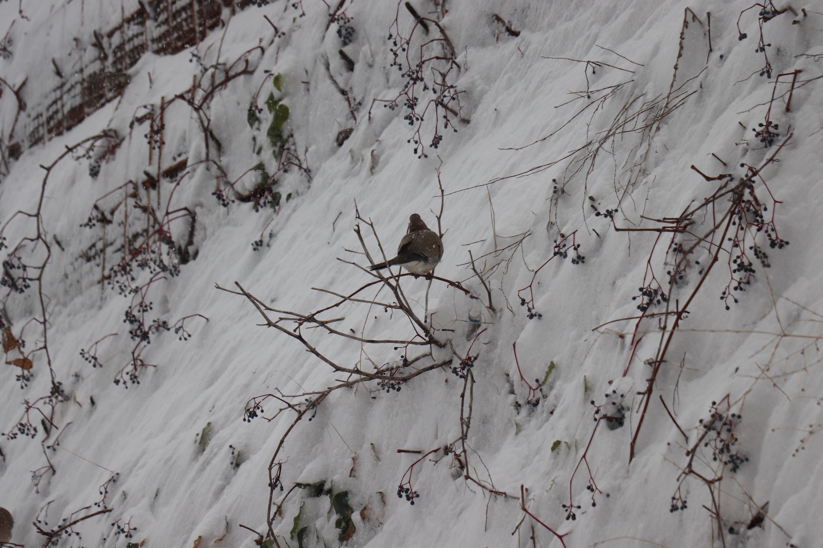 Whatsapp Image 2026 01 01 At 19.12.02 (4)