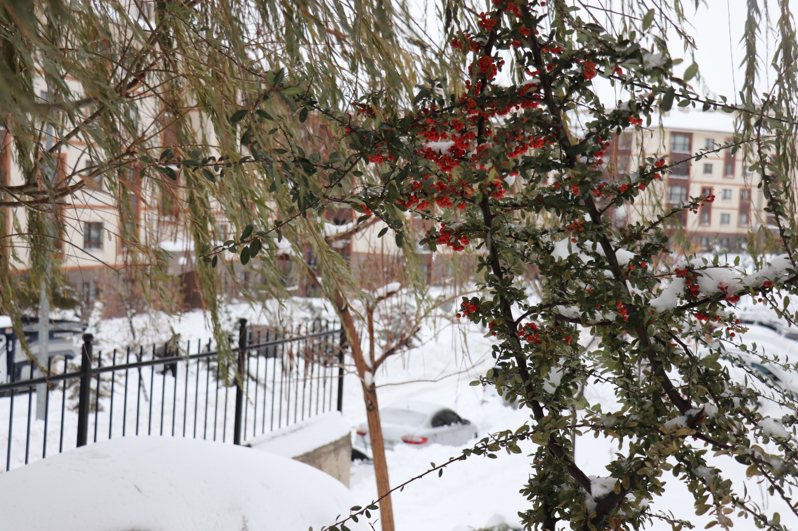 Whatsapp Image 2026 01 01 At 19.12.02 (5)