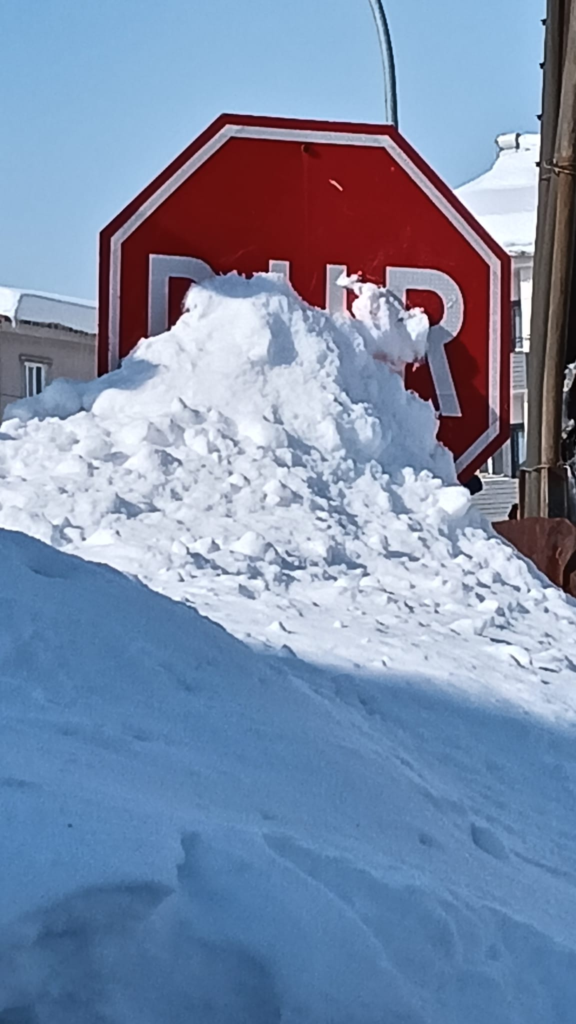 Whatsapp Image 2026 01 03 At 12.47.04 (1)