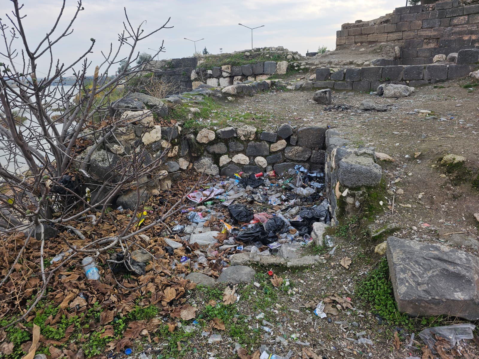 Whatsapp Image 2026 01 06 At 10.51.36 (1)