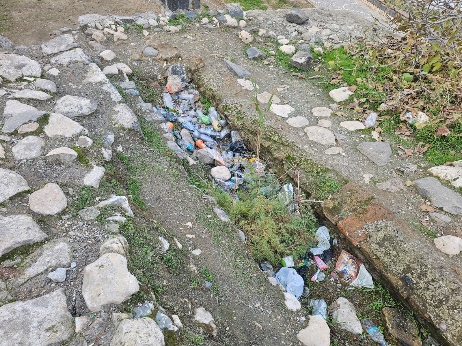 Whatsapp Image 2026 01 06 At 10.51.38