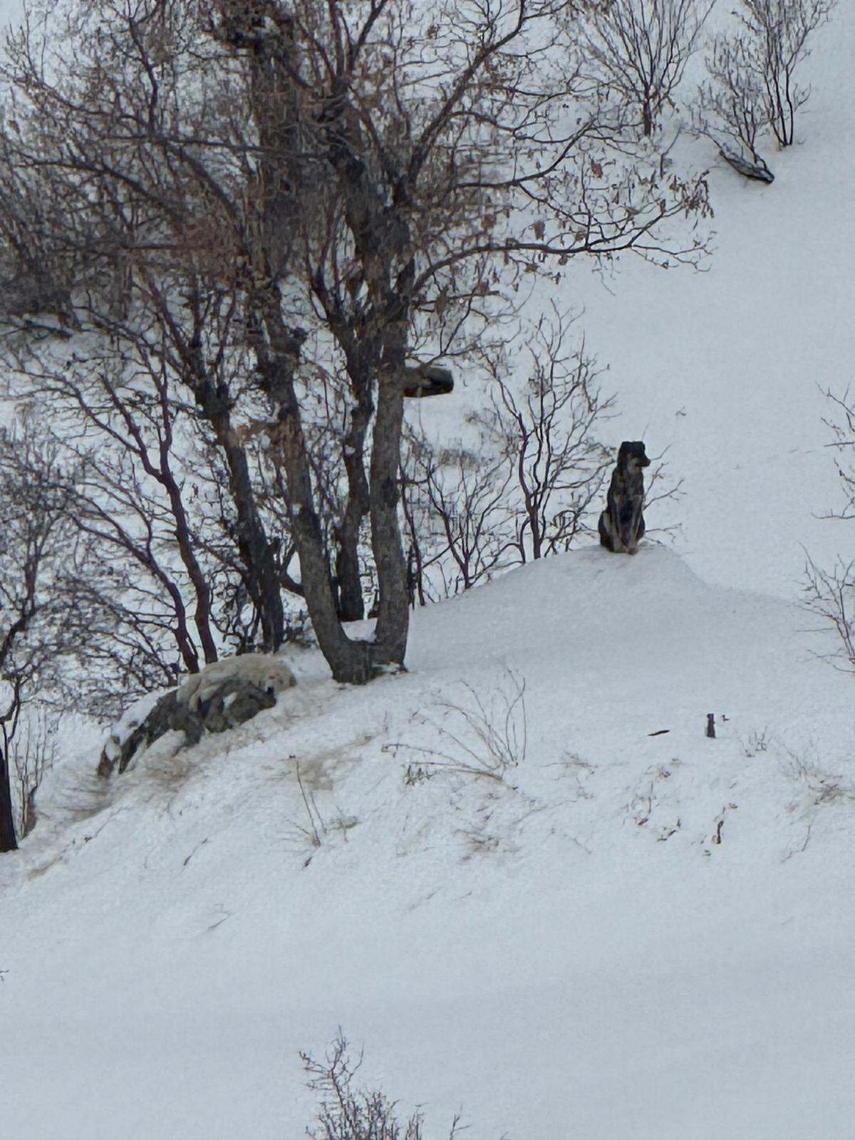 Whatsapp Image 2026 01 11 At 12.48.30