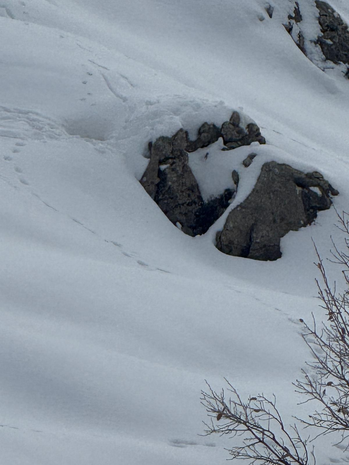 Whatsapp Image 2026 01 11 At 12.48.32