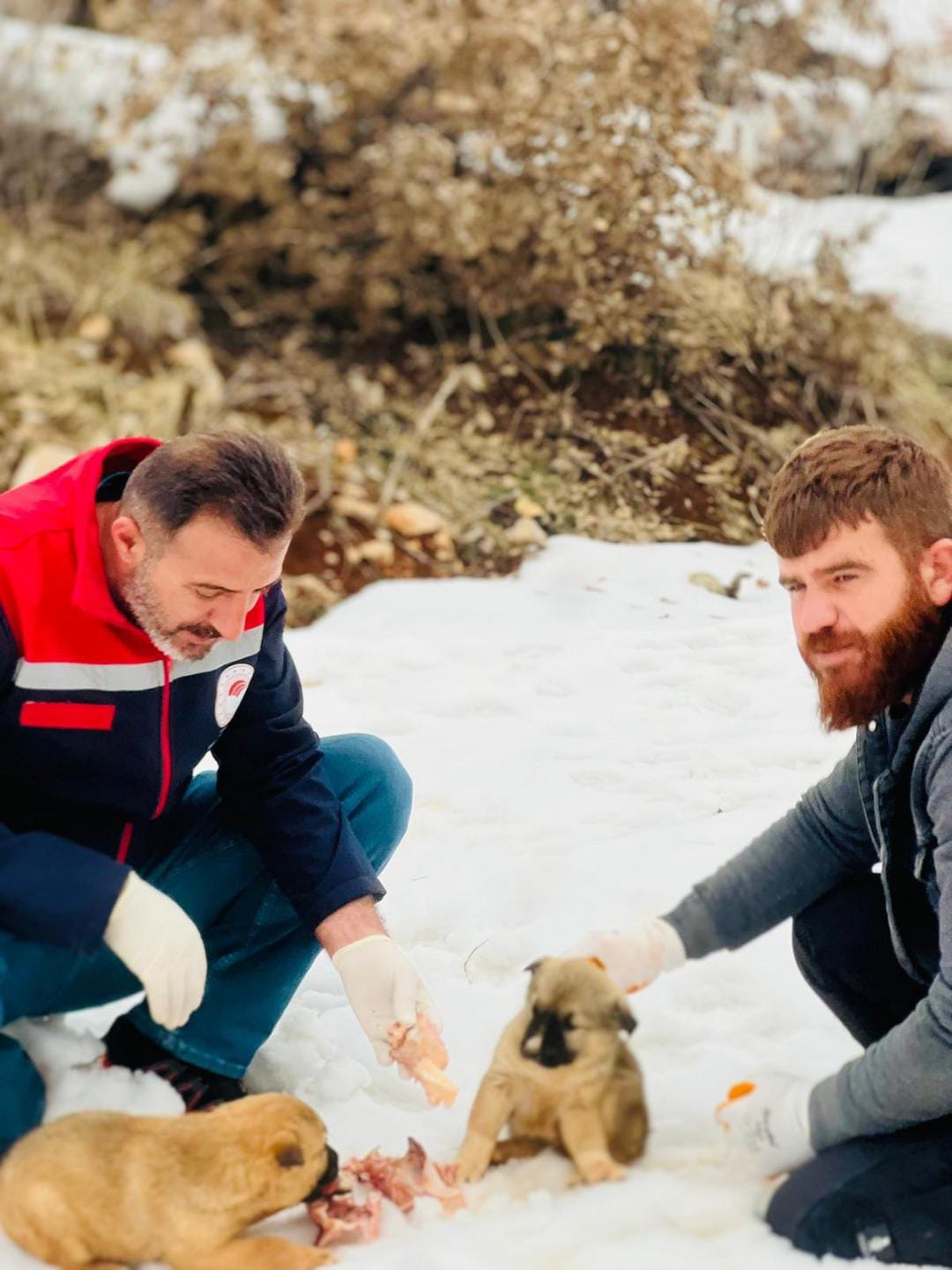 aç kalan yavrural ekip müdahalesii