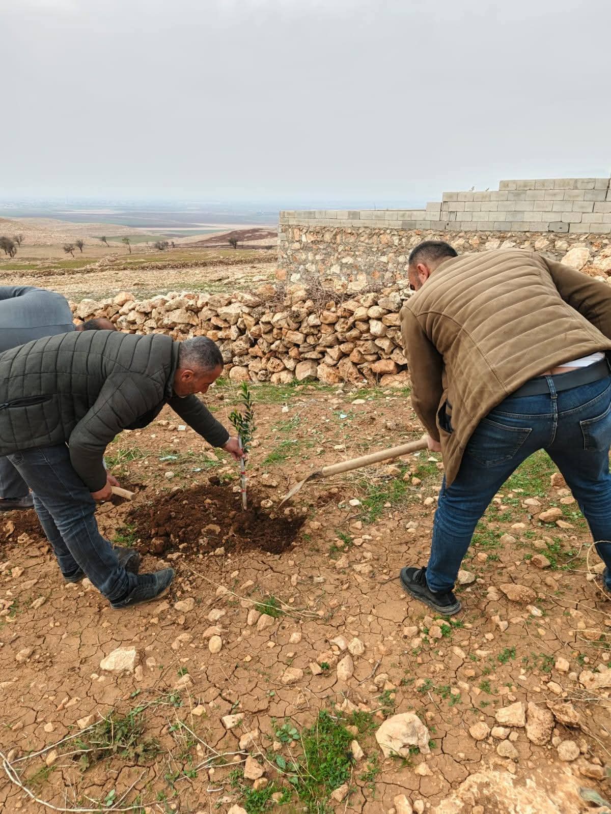 Whatsapp Image 2026 01 16 At 21.06.04