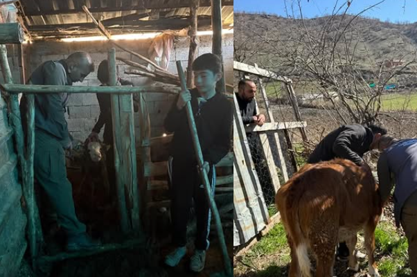 İlkbahar Dönemi Hayvan Kimliklendirme Çalışmaları Başladı