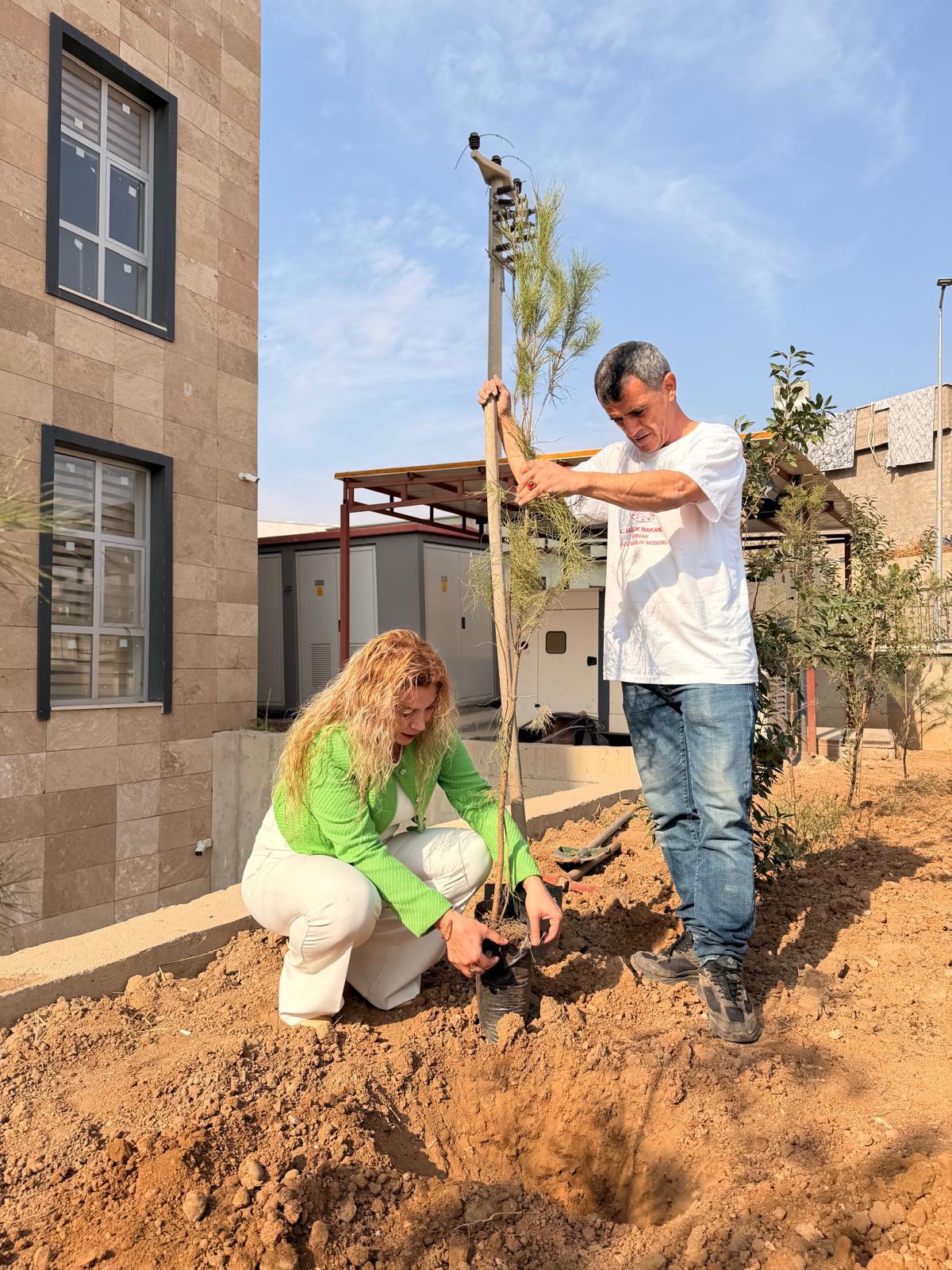 I M G 20260207 W A0008