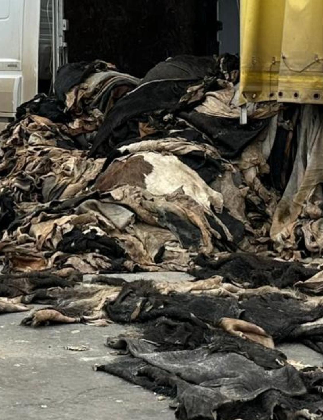 Şırnak’ta Suç Örgütlerine Büyük Darbe