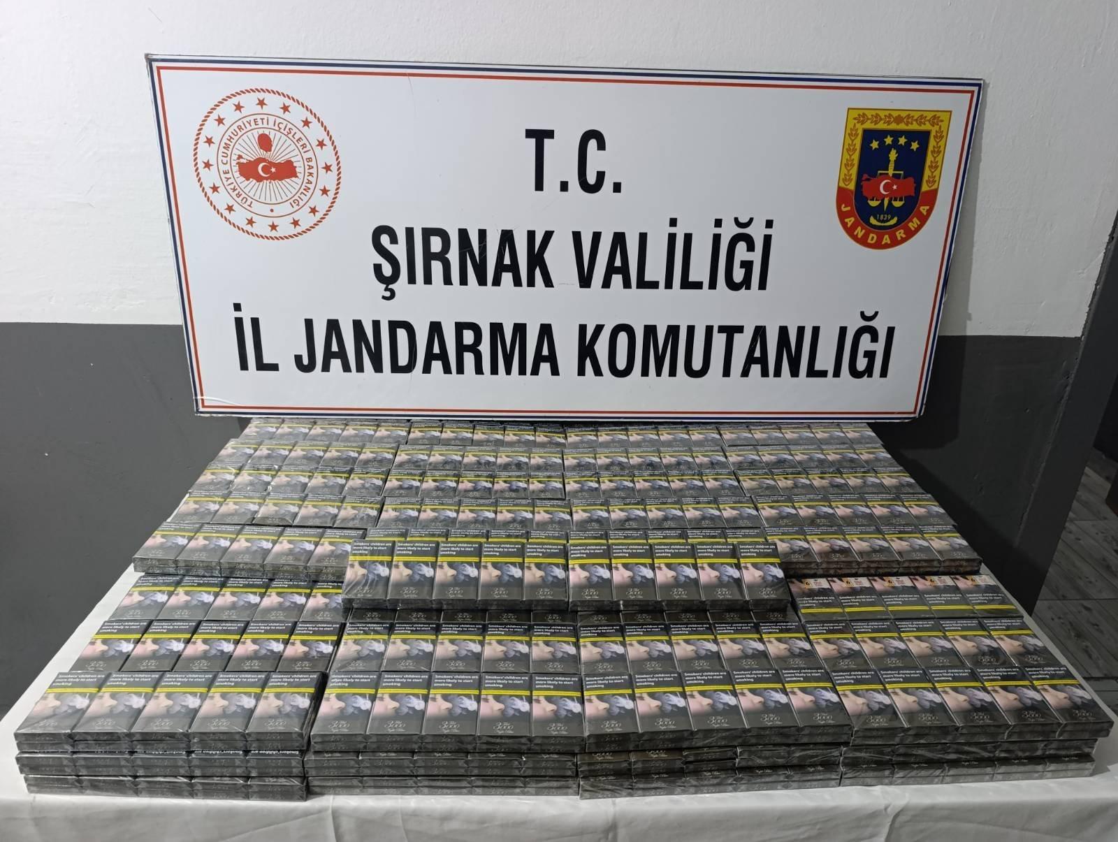 Jandarma operasyonu-1