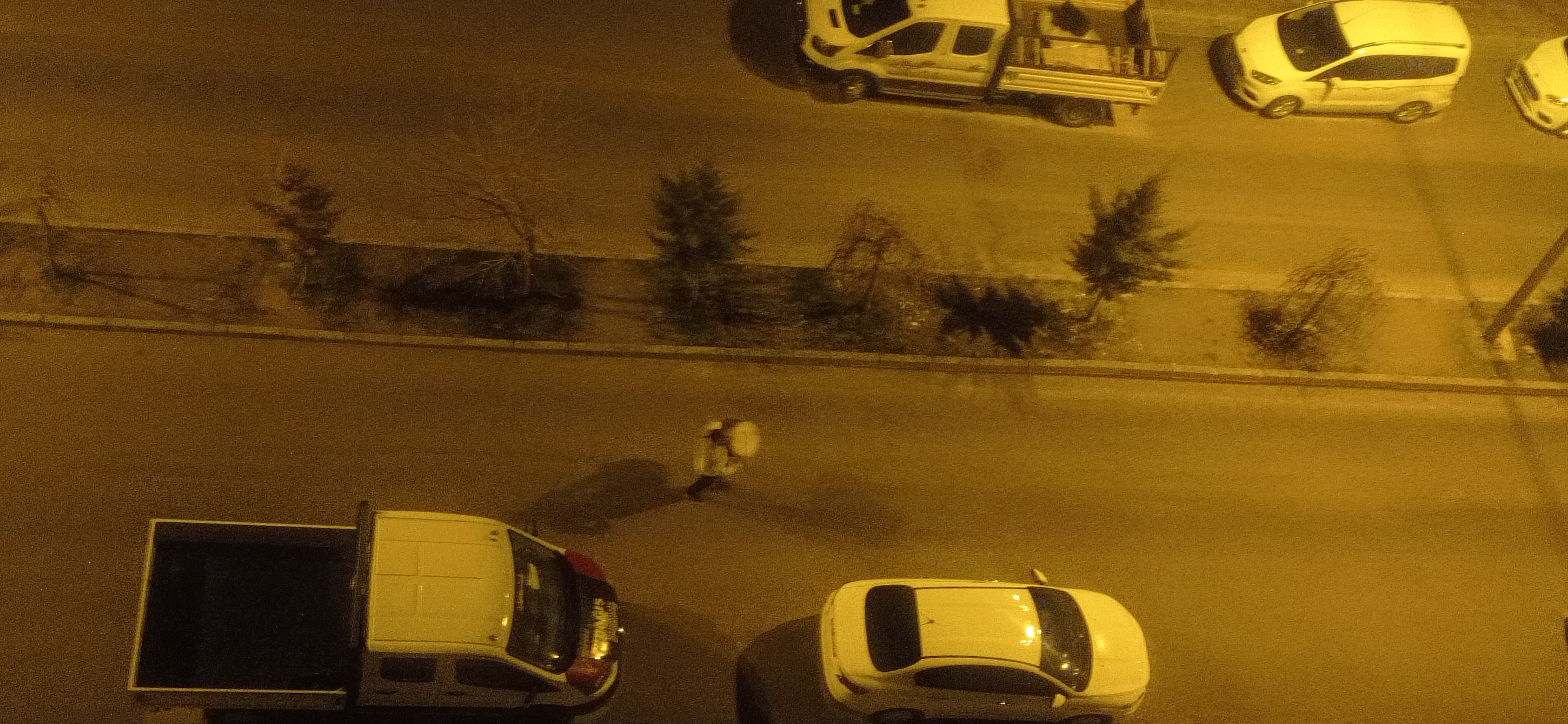 I M G 20260219 035742