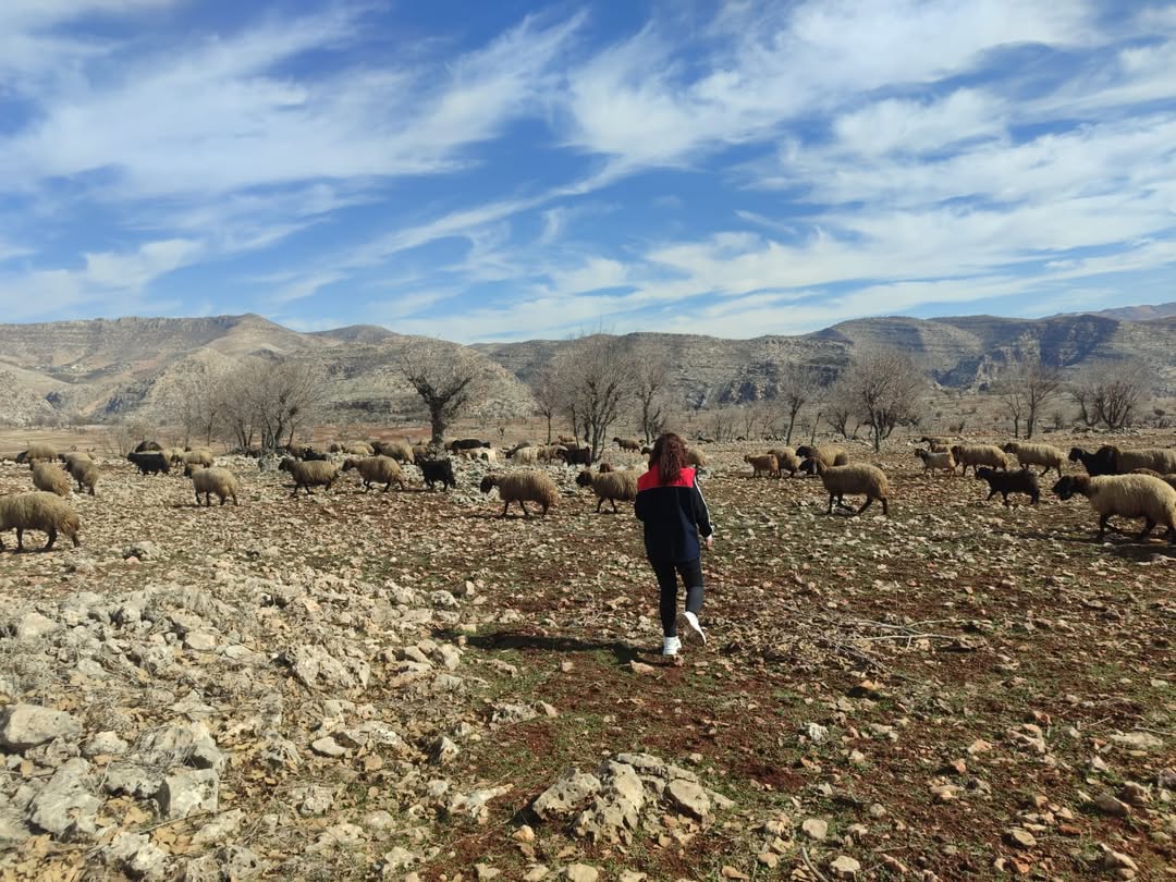 Mera Kanunu Kapsamında Şırnak’ta Arazi İncelemesi Yapıldı