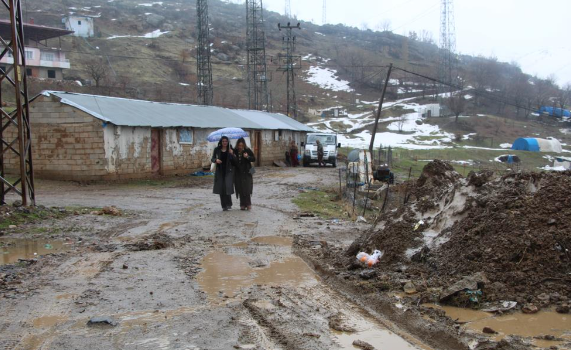 Harvard’lı Doktorun Şaşırtan Rotası, Amerika Yerine Şırnak