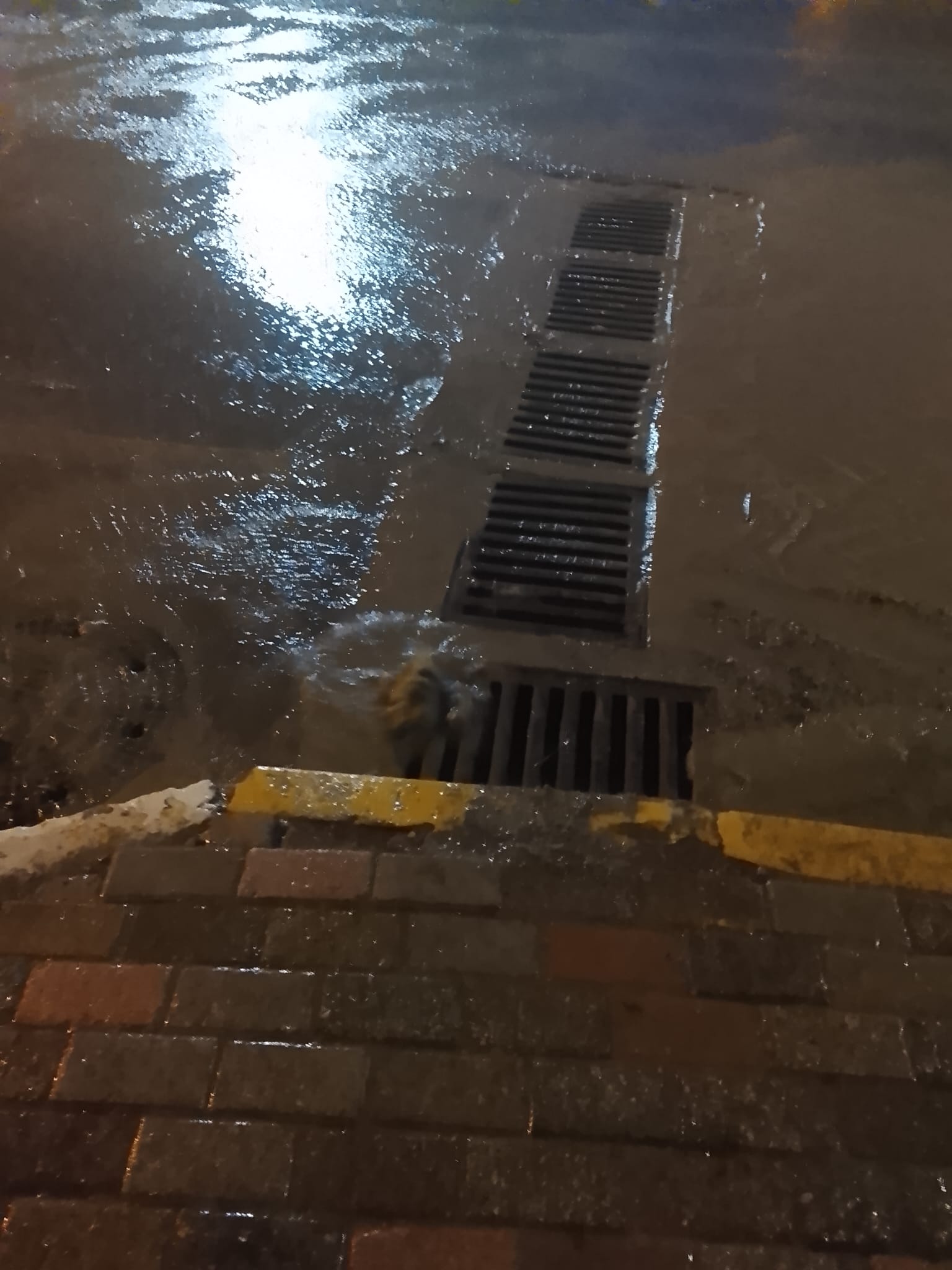 Whatsapp Image 2026 02 03 At 18.14.48