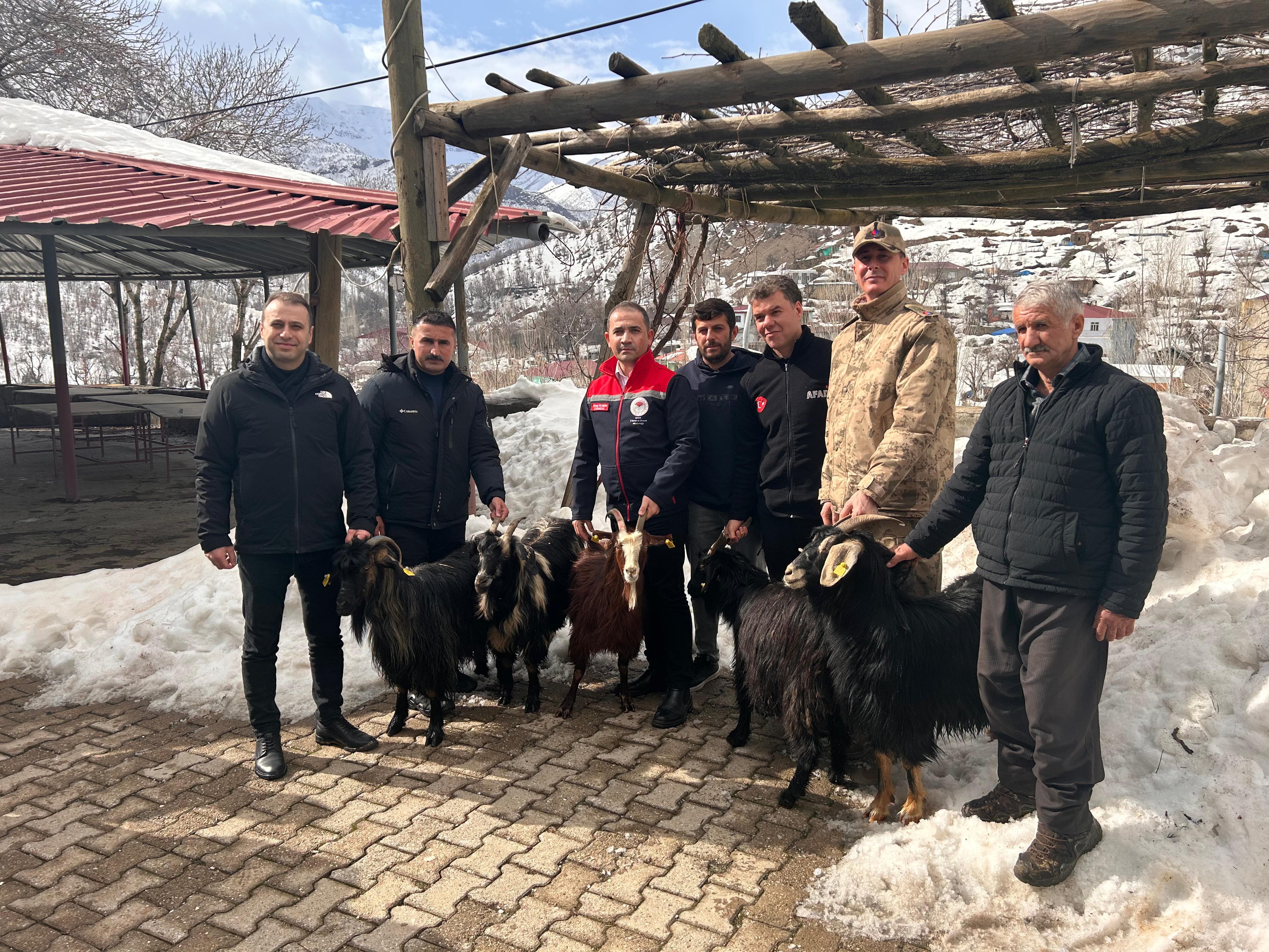 beytüşşebap hayvan telef