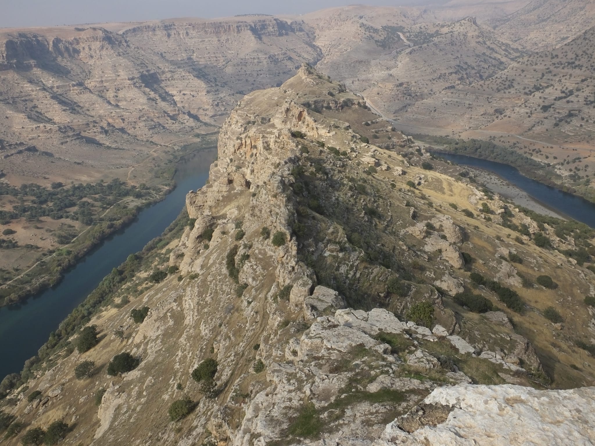 Whatsapp Image 2026 02 11 At 21.49.25