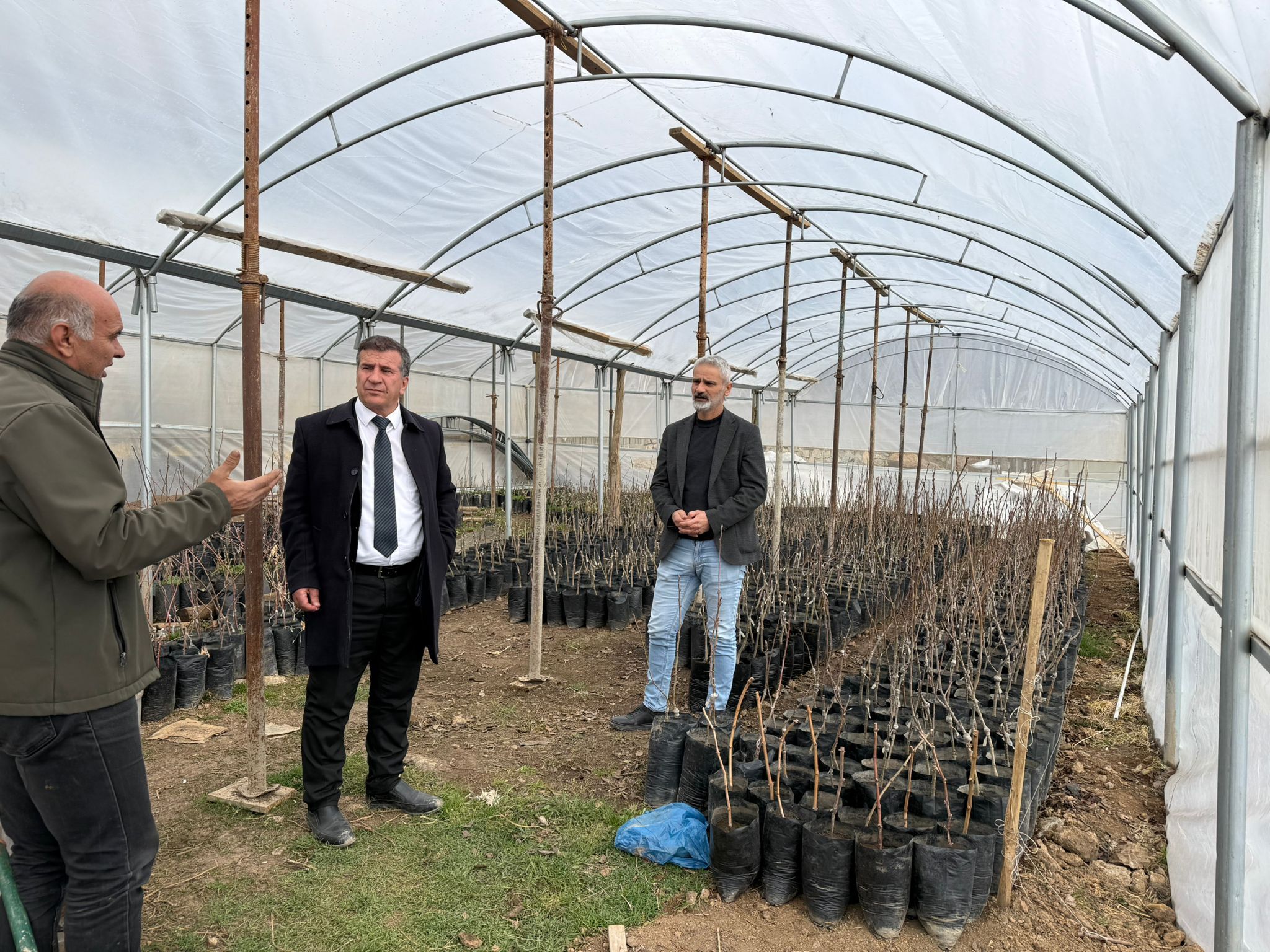 Beytüşşebap’ta yerli fidan hamlesi