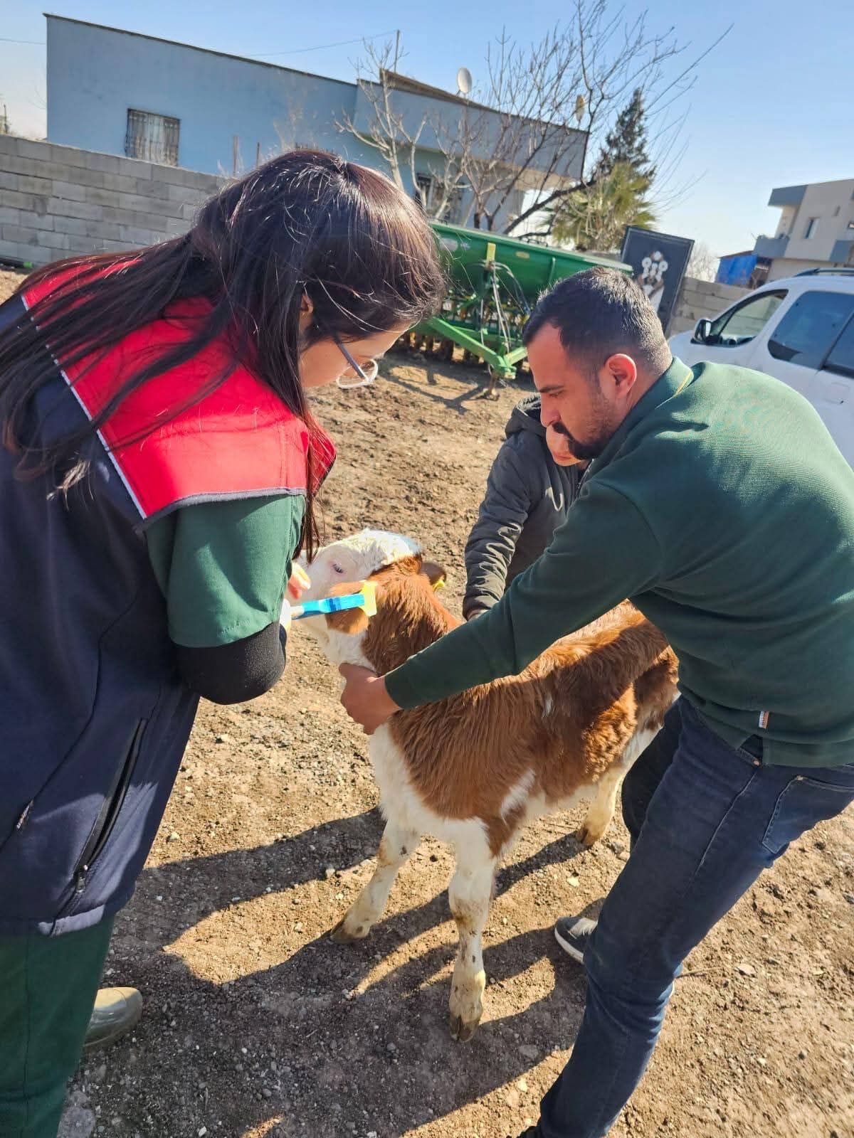 Whatsapp Image 2026 02 26 At 19.32.01