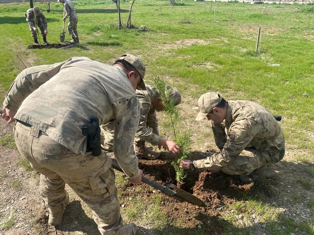 yeşil doğa silopi-3