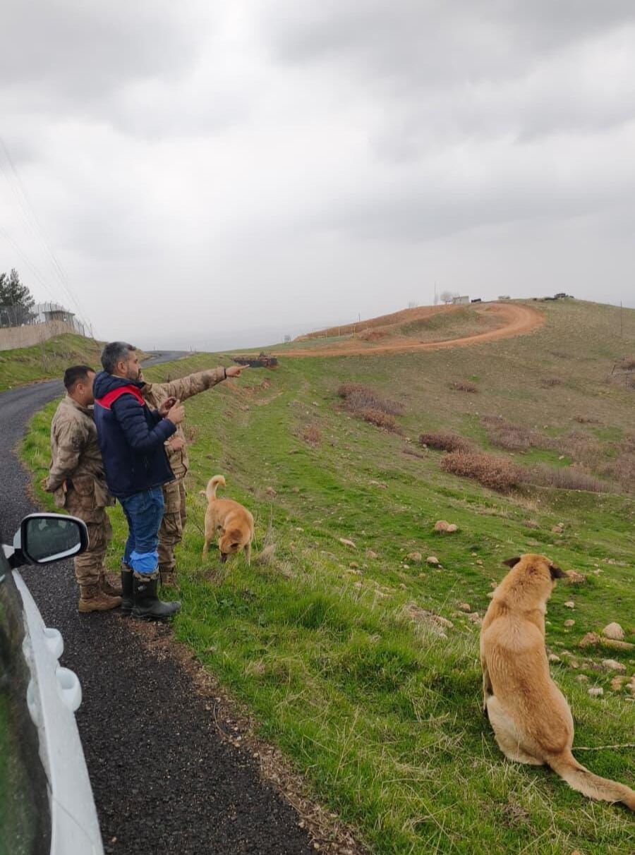Cizre'de Mera Alanları Kayıt Altına Alınıyor