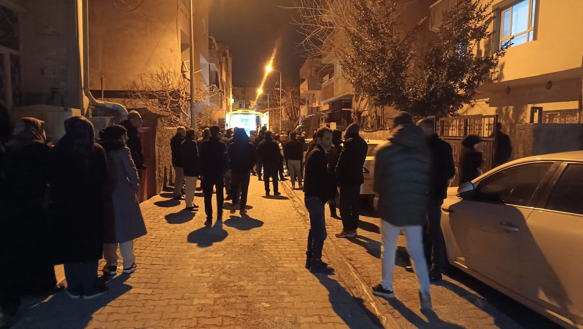 Genç Kız Tartıştığı Babasını Silahla Vurdu