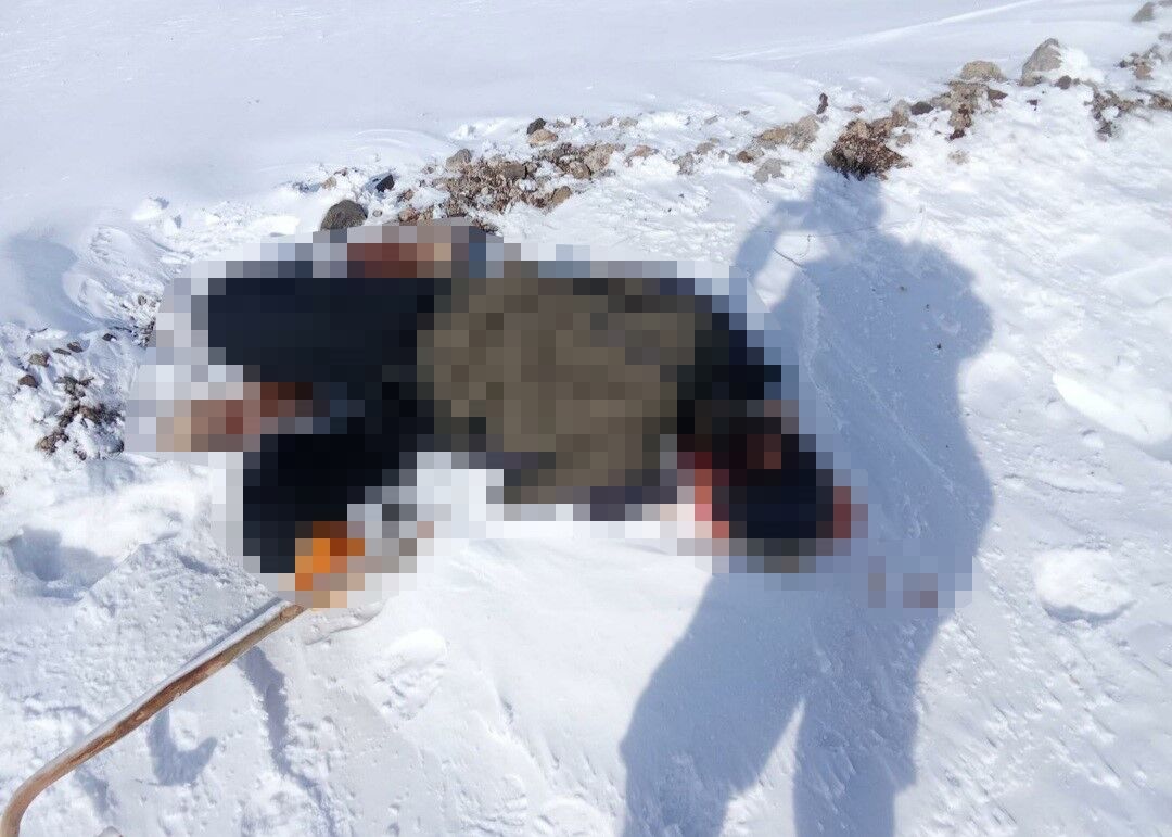 Sınıra Yakın Kırsal Alanda Bir  Genç Ölü Bulundu