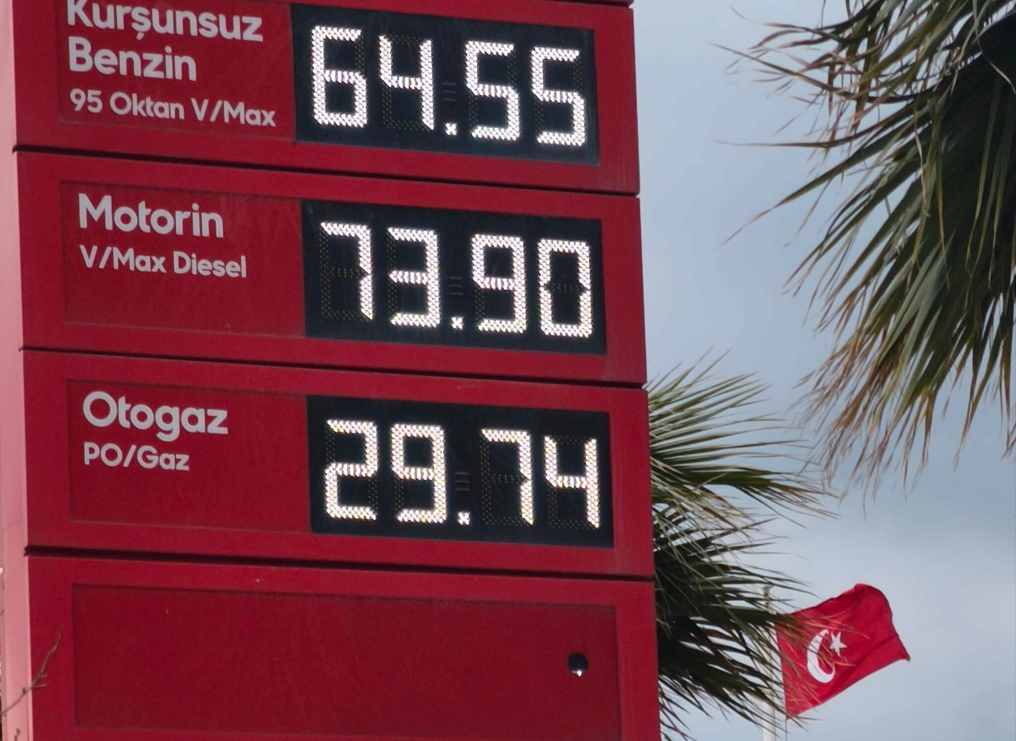 I M G 20260321 W A0006-1