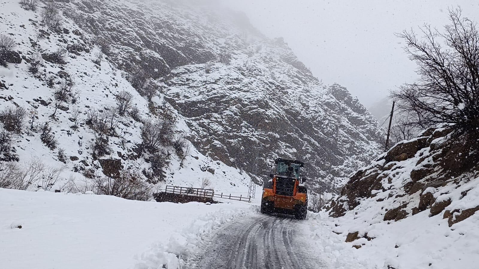 I M G 20260323 W A0001