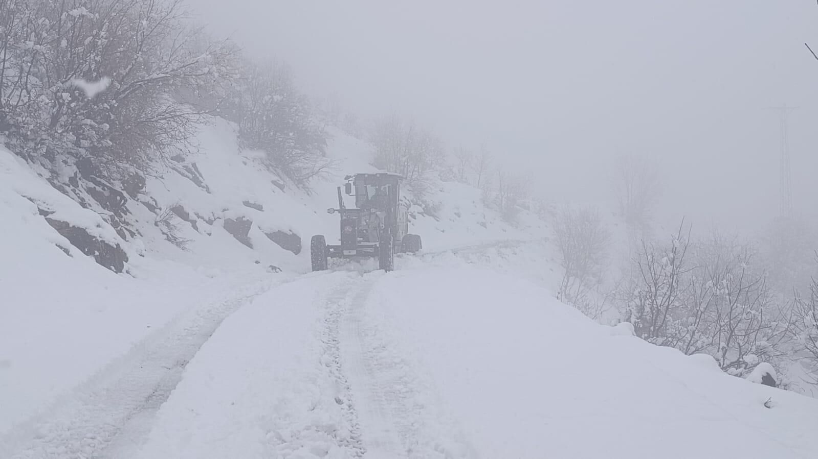 I M G 20260323 W A0005