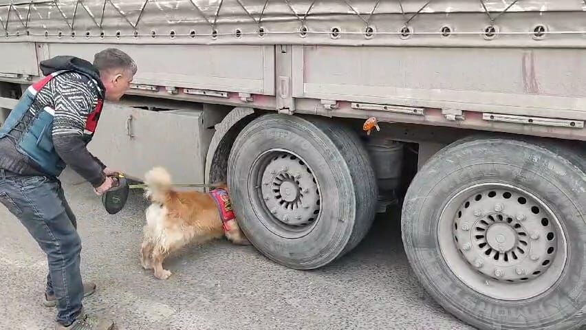 Şırnak jandarmadan son 20 yılın en büyük operasyonu