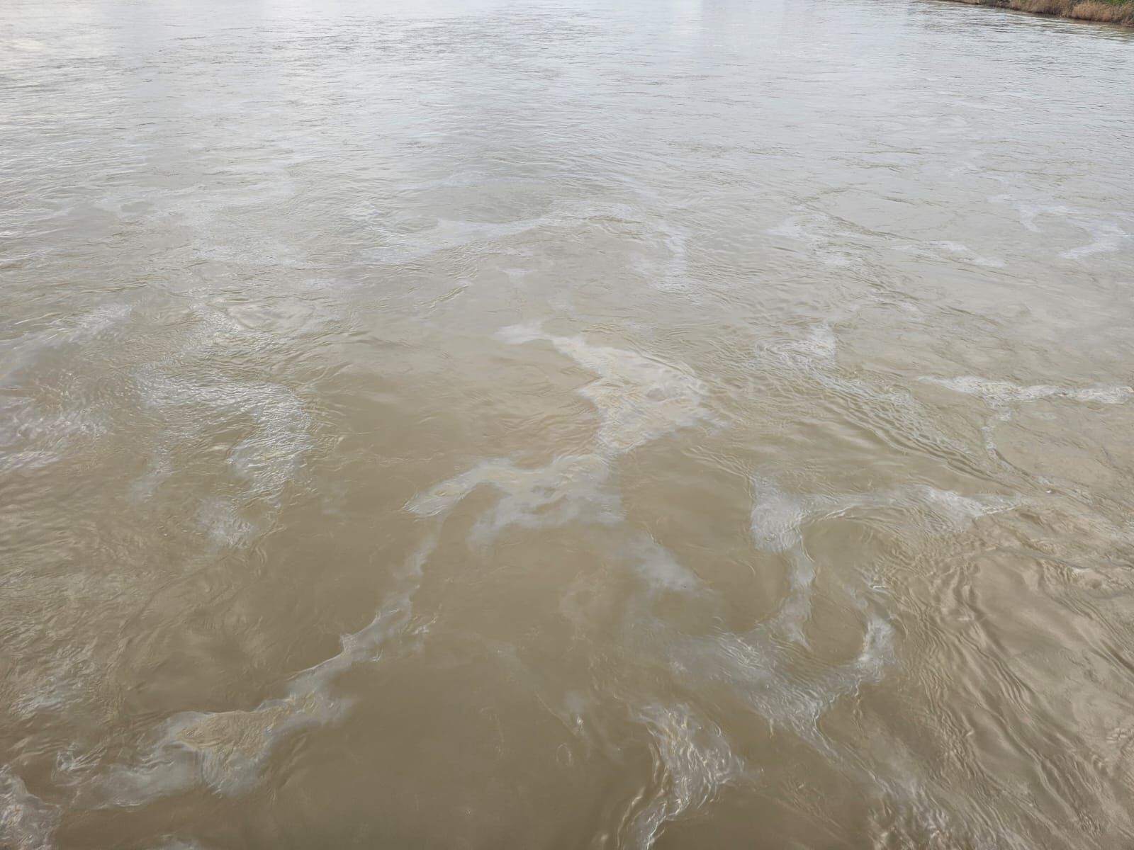 I M G 20260328 W A0006