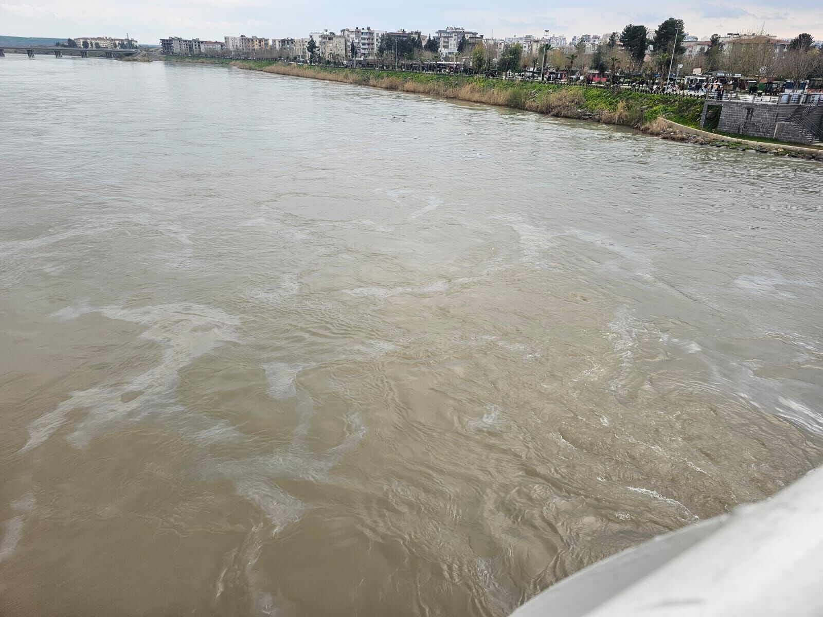 Cizre’de Boru Hattı Sızıntısı, Dicle Nehri Petrolle Kaplandı
