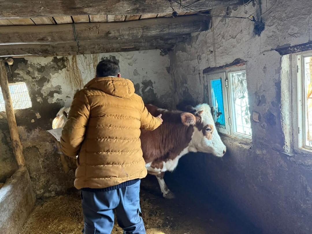 hayvan sağlığı-4